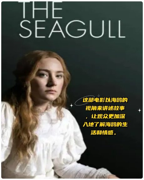 海鸥影评