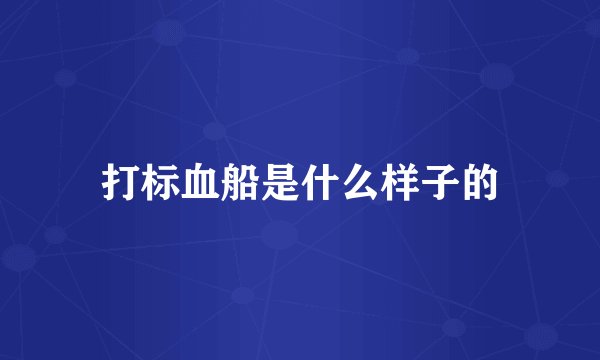 打标血船是什么样子的
