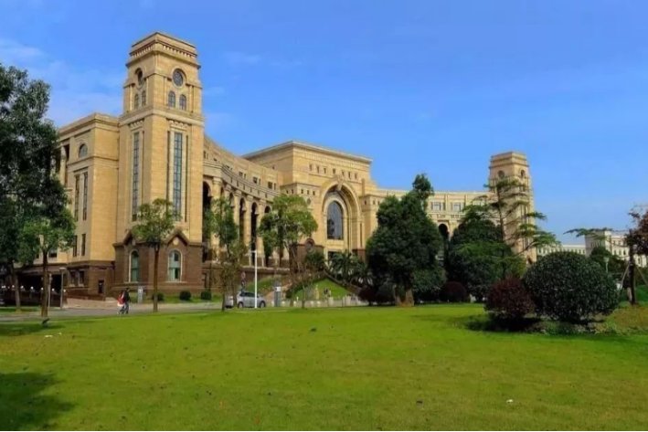 college是什么意思翻译