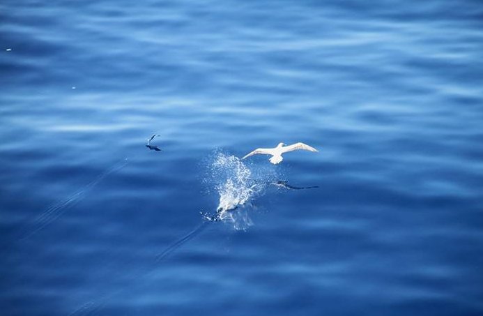 不曾清贫难做人 未经挫折总天真全首诗