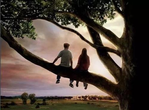 “斯人若彩虹，遇上方知有。”