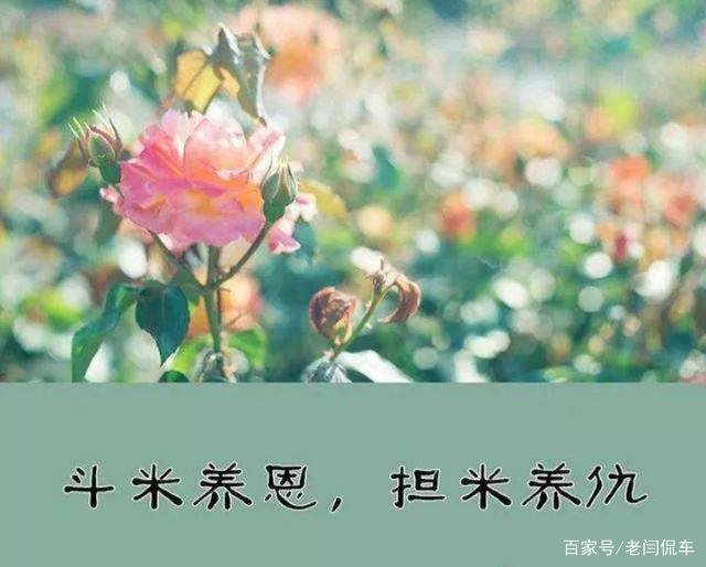 在农村，常听老人说“斗米养恩，担米养仇”是什么意思？