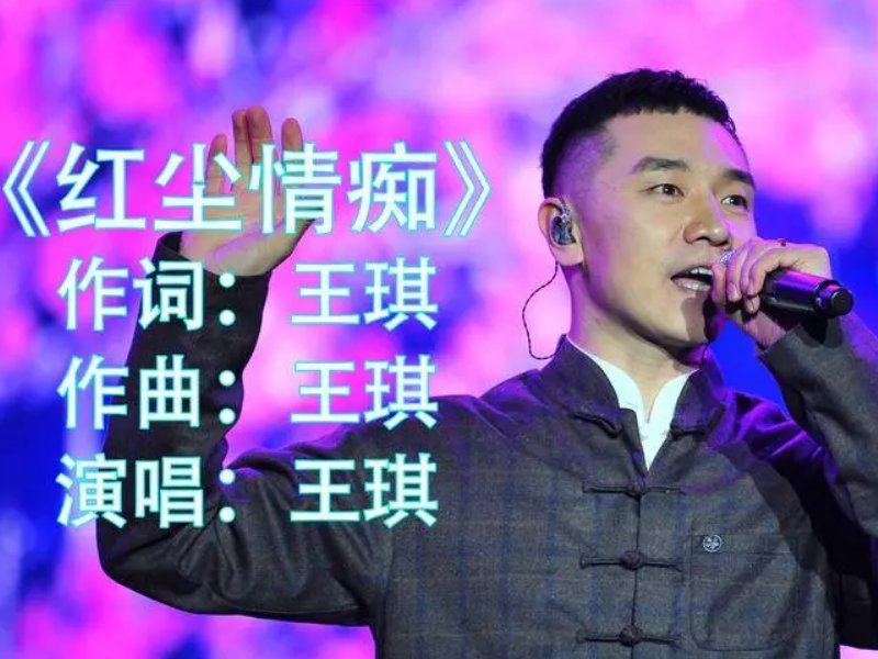 王琪的十首经典歌曲