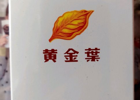 黄金叶产地是哪里