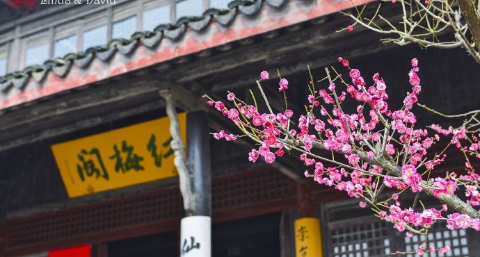 常州有什么好玩的地方旅游景点