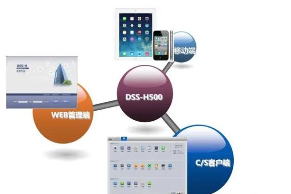 dss的中文含义是