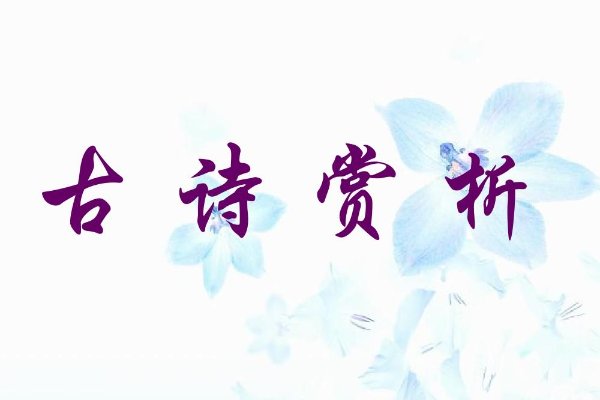 雨前初见花间蕊雨后全无叶底花的意思
