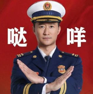 哒咩、达咩是什么意思，和雅蠛蝶有什么区别