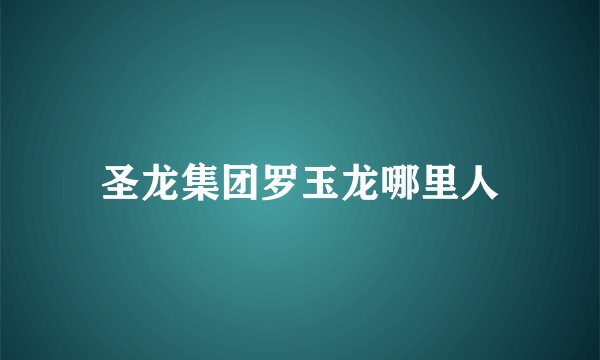 圣龙集团罗玉龙哪里人