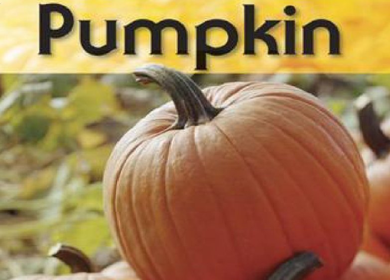 squash和pumpkin的区别