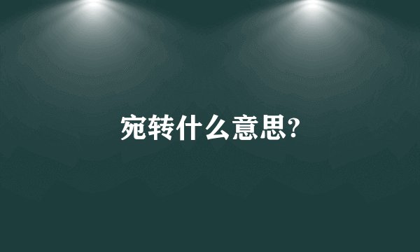 宛转什么意思?