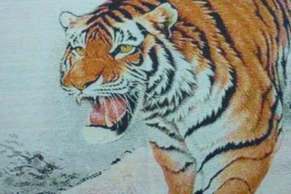 下山虎的含义是谁？