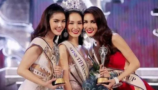 ts是什么意思啊？