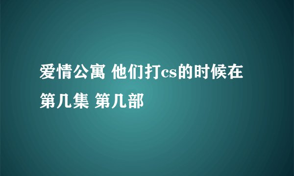 爱情公寓 他们打cs的时候在第几集 第几部