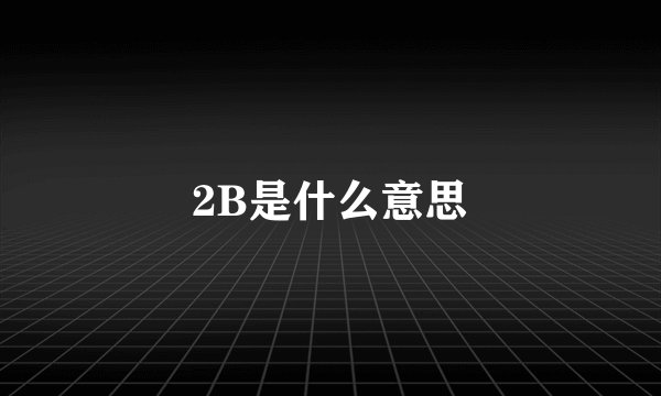 2B是什么意思