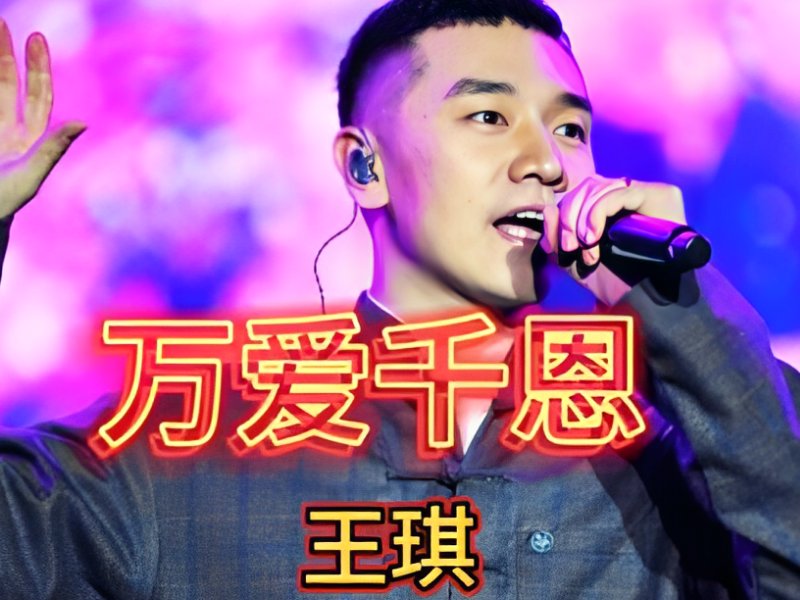 王琪的十首经典歌曲