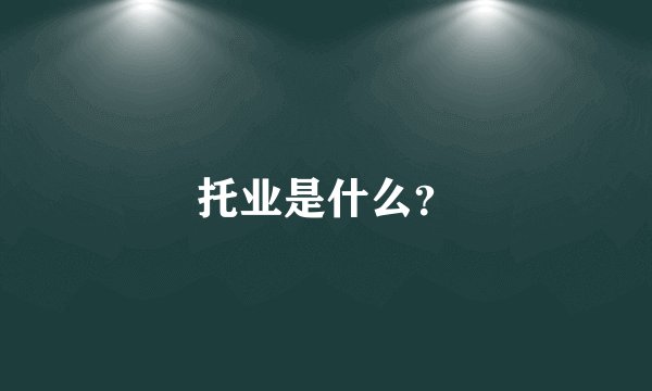 托业是什么？
