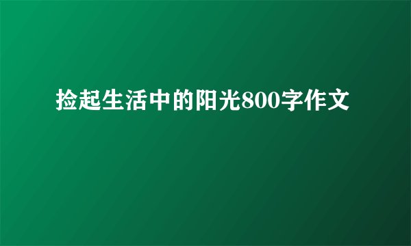 捡起生活中的阳光800字作文