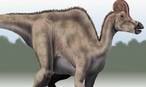 恐龙无处不在说明对象是什么？