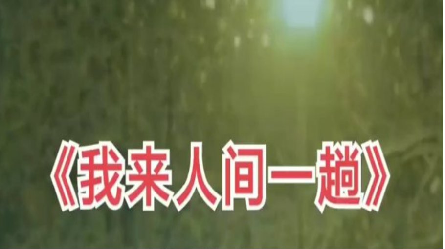 我来人间一趟原唱完整版