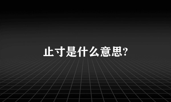 止寸是什么意思?