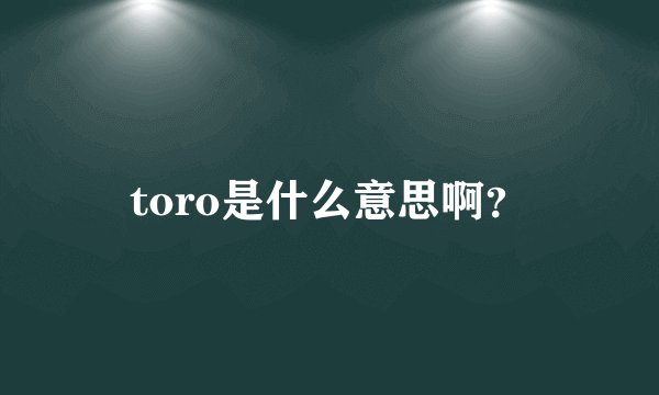 toro是什么意思啊？