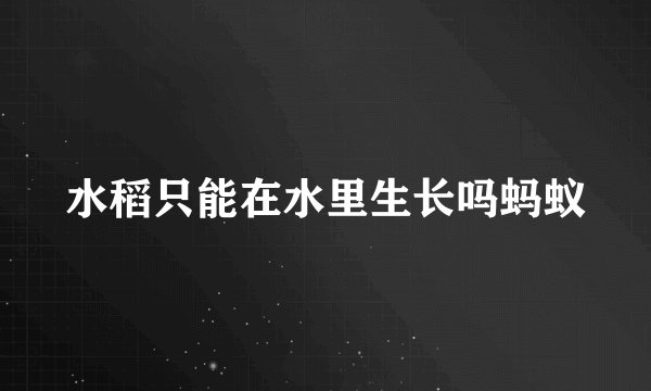 水稻只能在水里生长吗蚂蚁