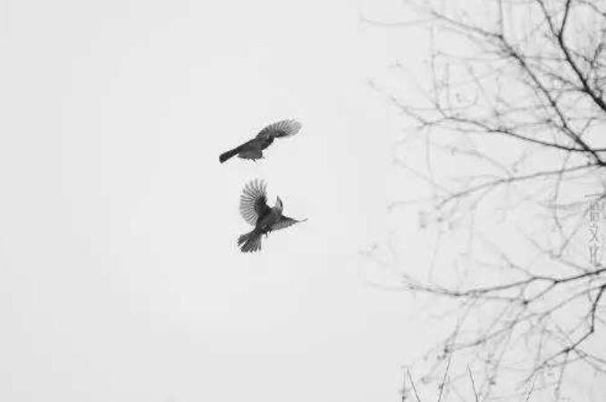 东风无力百花残的全诗意思是什么？