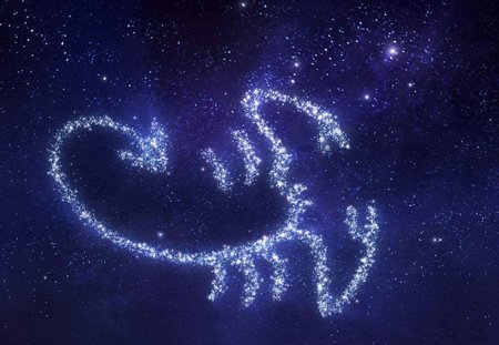 11月15号什么星座