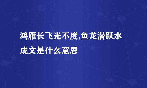 鸿雁长飞光不度,鱼龙潜跃水成文是什么意思