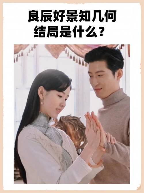 良辰好景知几何结局是什么？