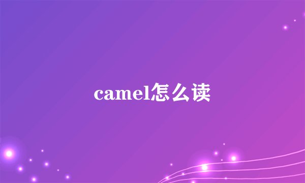 camel怎么读