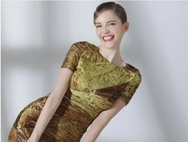 十二生肖演员表