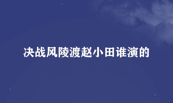 决战风陵渡赵小田谁演的