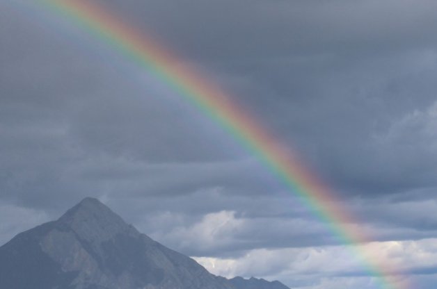 同感是什么意思