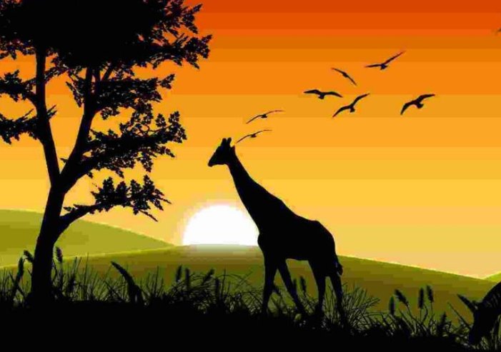 大自然的指南针有什么？除了太阳，北极星，大树，积雪，还有什么？