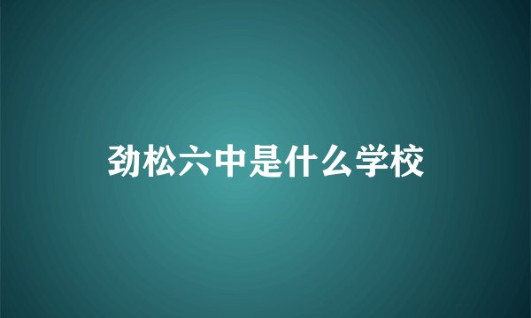 劲松六中是什么学校