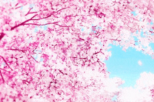 纷纷是什么意思？