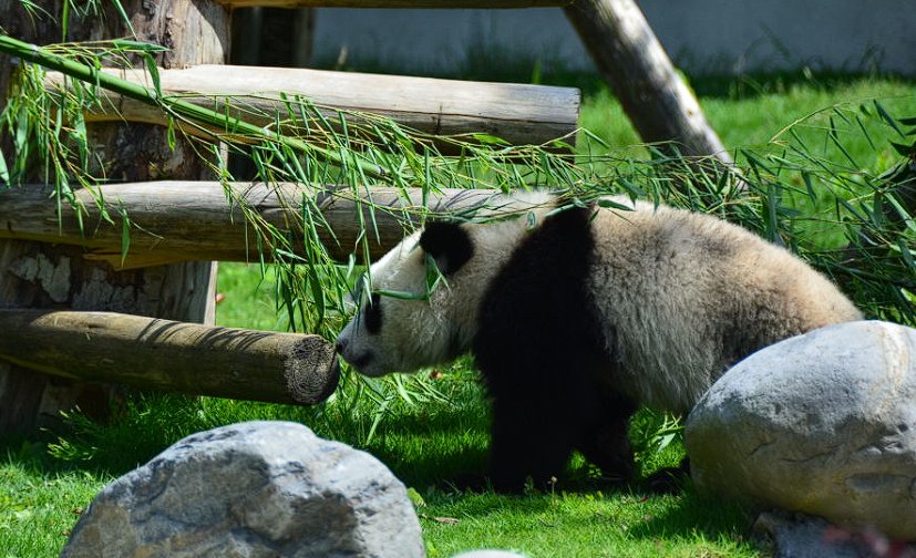 保定生态园有什么好玩的