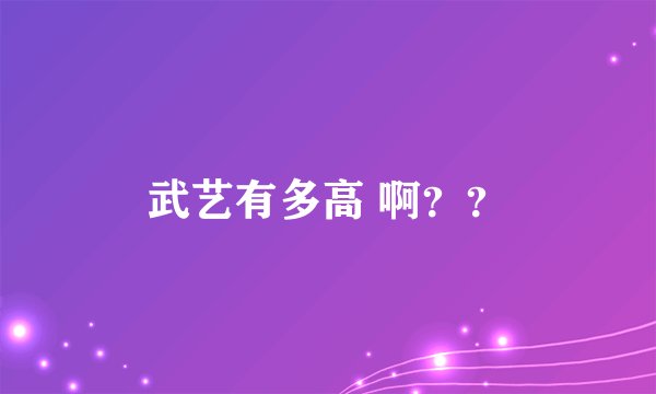 武艺有多高 啊？？