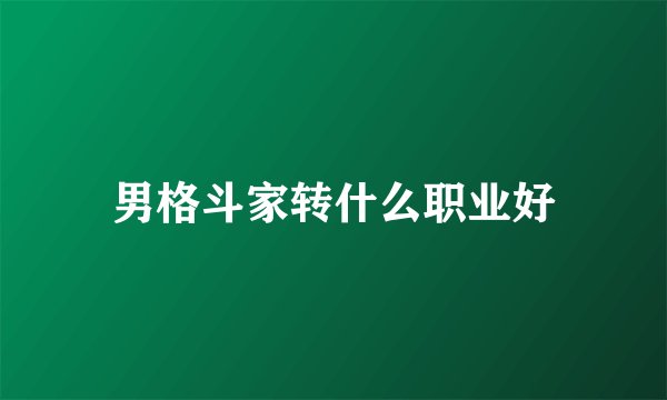 男格斗家转什么职业好