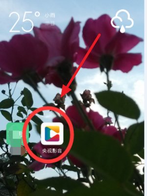 手机可以看电视吗，和电视同步播放的？