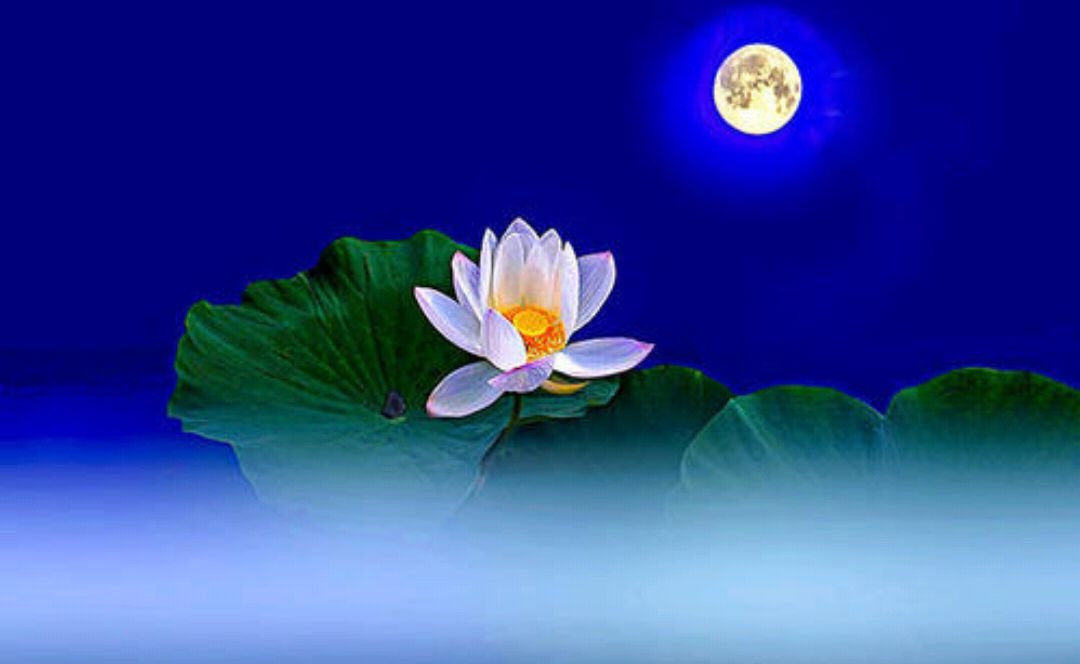 问：浮世三千，吾爱有三，什么意思？