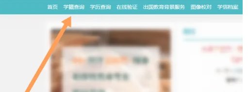 高考考生号怎么查询?