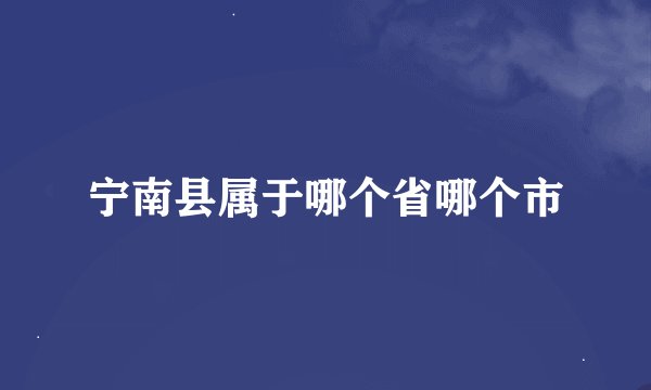 宁南县属于哪个省哪个市