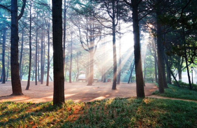 光线通过胶体时会发生什么现象？