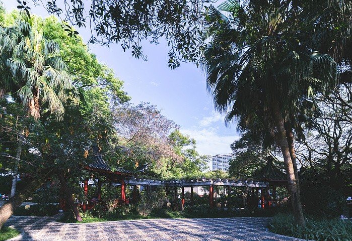 舒馨是什么意思