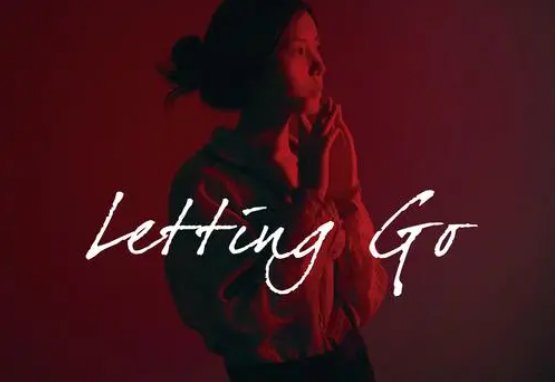 lettinggo翻译中文