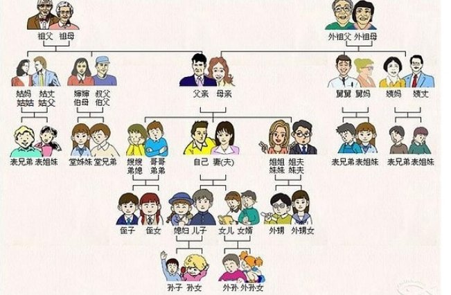 爸爸的姐妹叫什么？