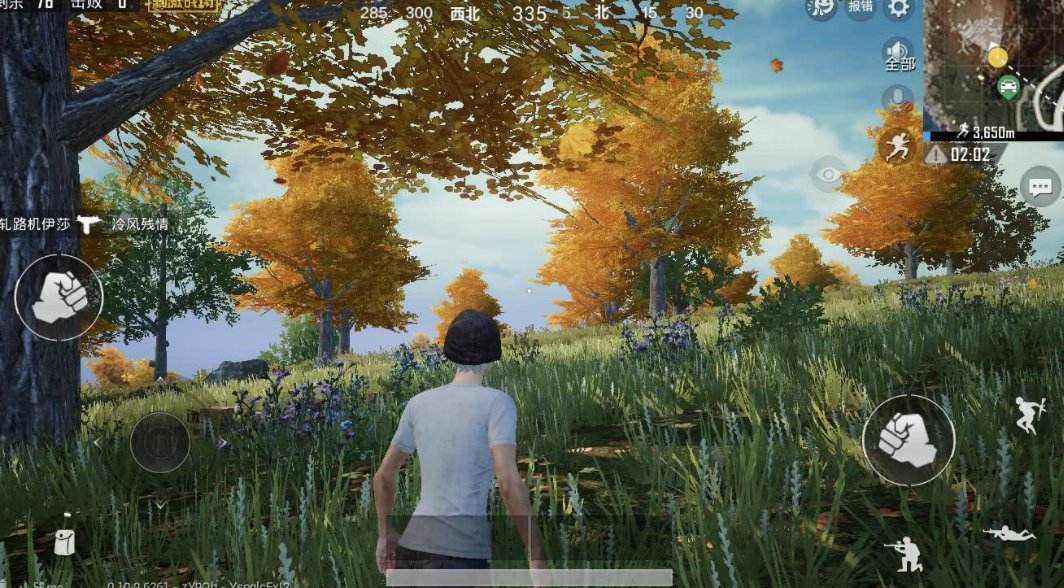 吃鸡又菜又皮的名字有哪些？